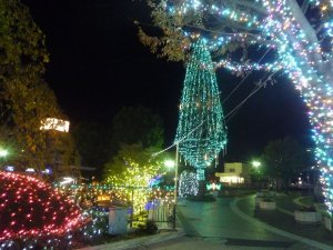 画像1: 東川口駅イルミネーション　11月