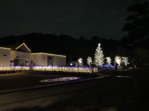 画像1: 11月２日　相模原ふれあい科学館イルミネーション　　