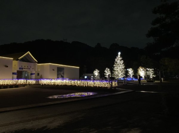 画像1: 11月２日　相模原ふれあい科学館イルミネーション　　 (1)